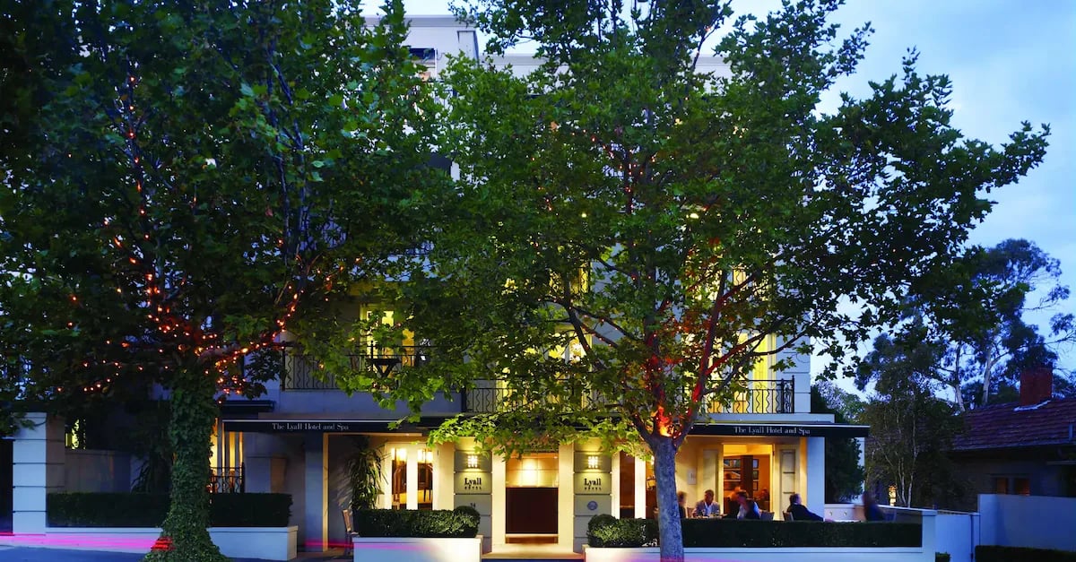 The Lyall Hotel — backstory