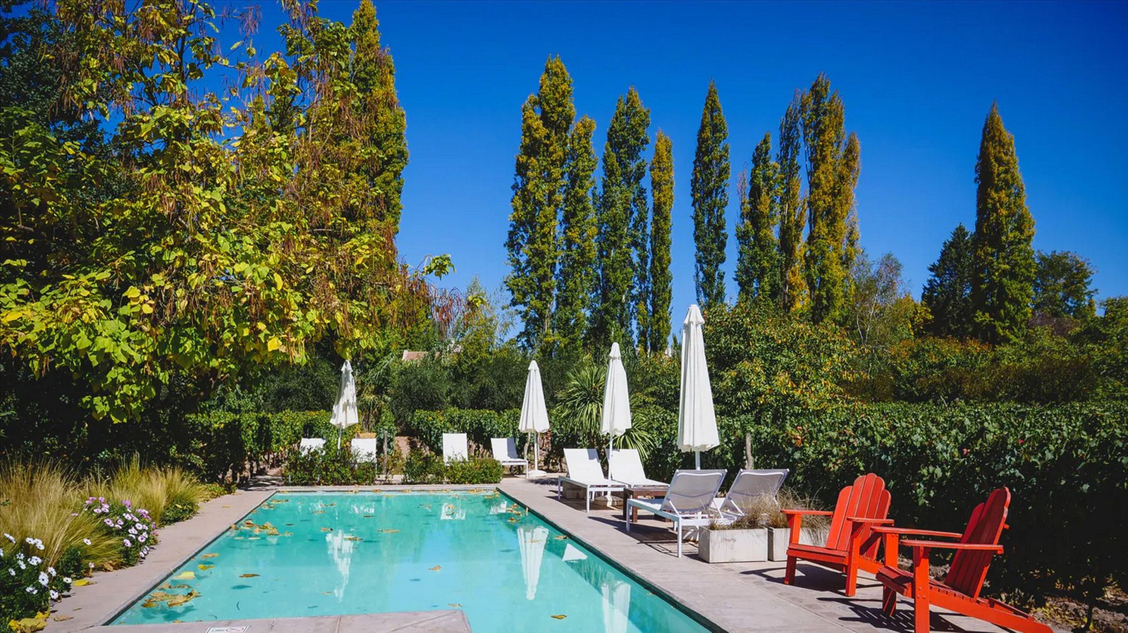 Finca Adalgisa, the pool