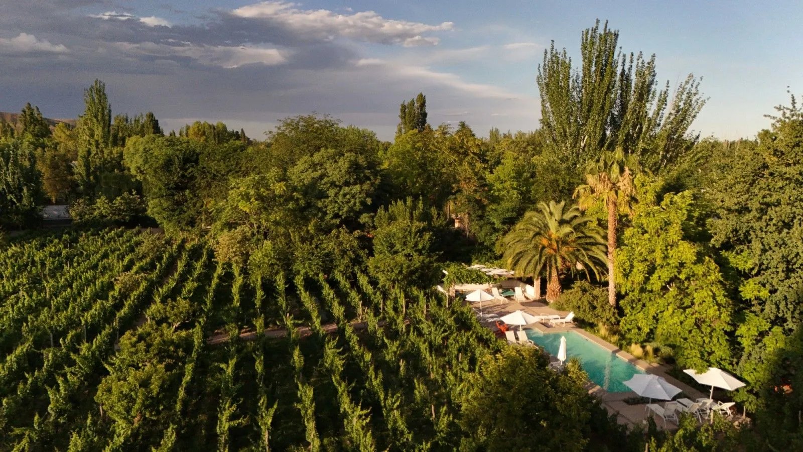 Finca Adalgisa