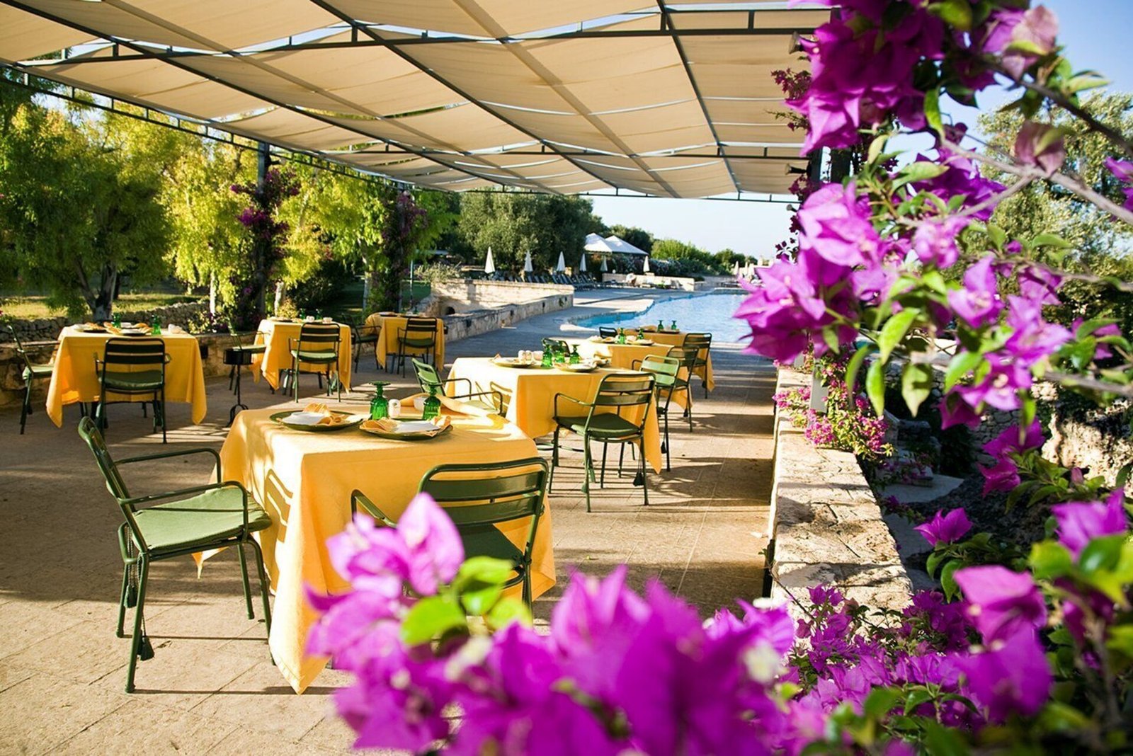 Hotel Masseria San Domenico, at the table
