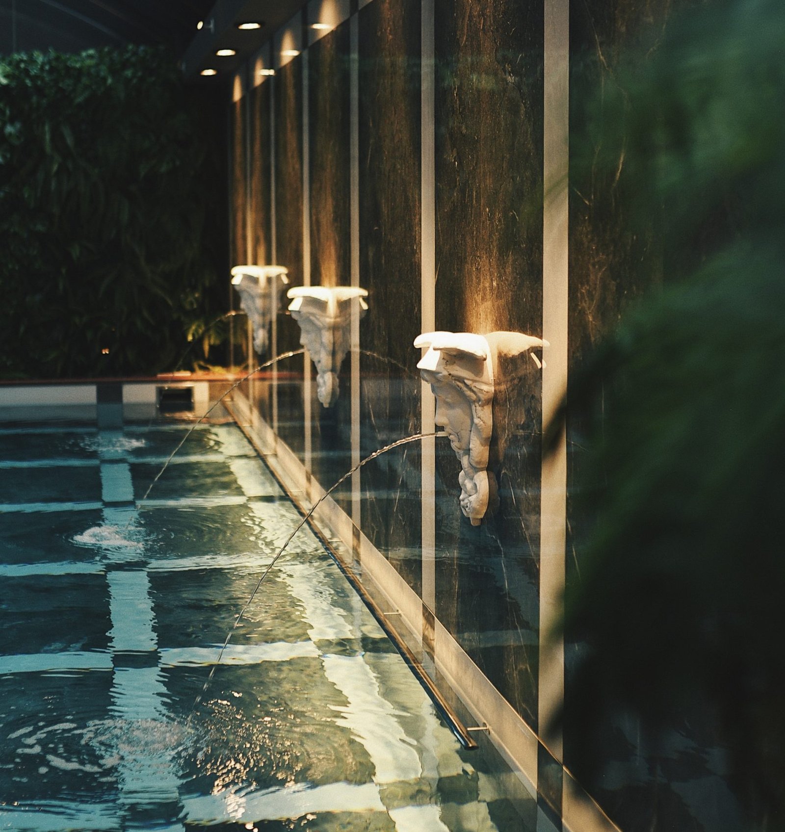 Hotel Telegraaf, the pool