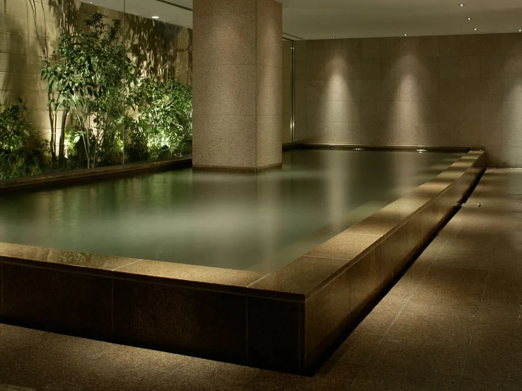 Hyatt Regency Hakone Resort and Spa, the spa