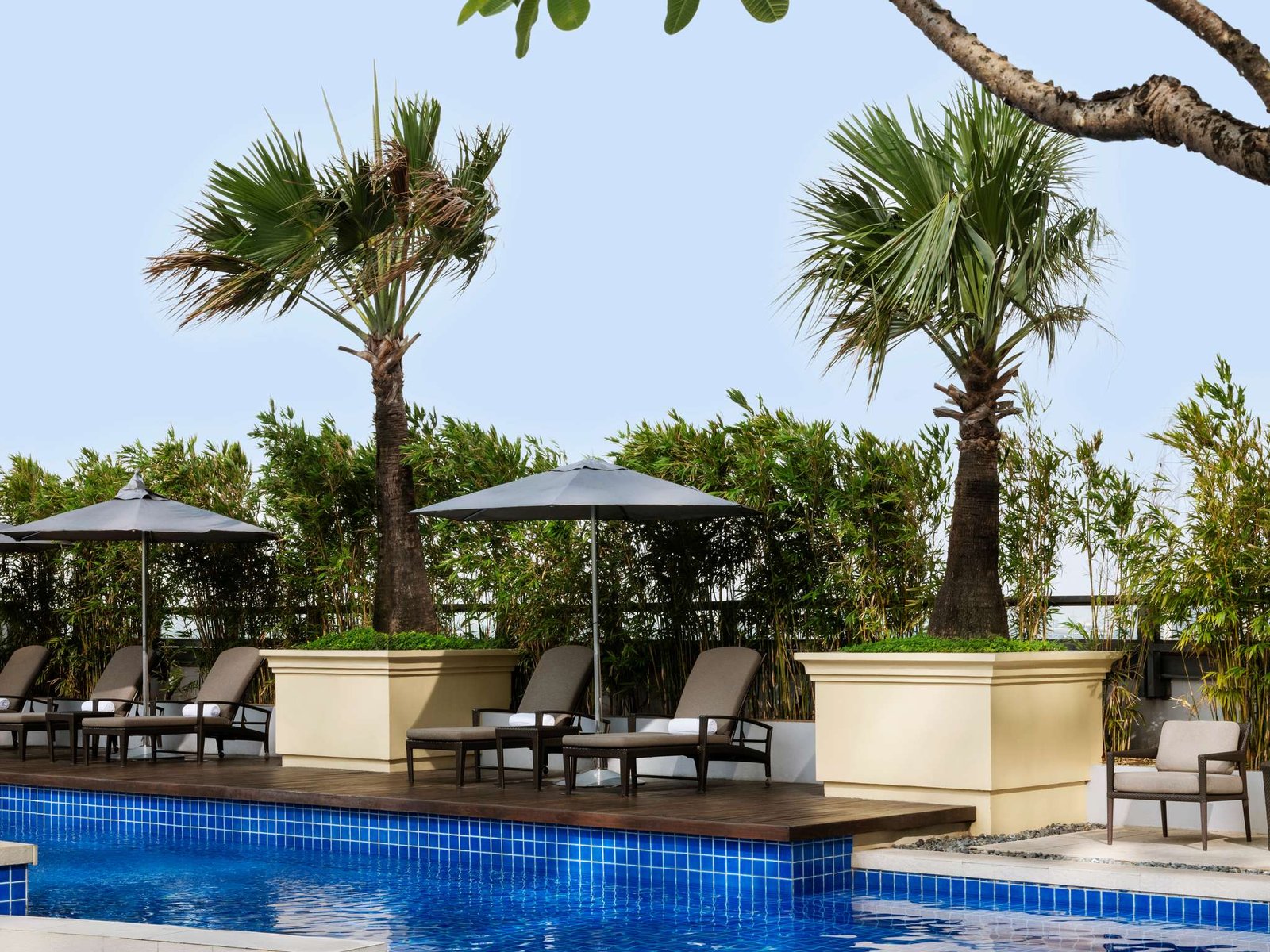 Raffles Makati, the pool