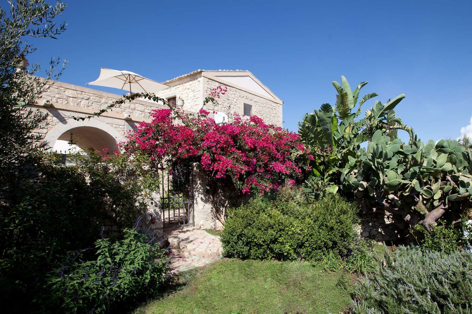 Tenuta Cammarana, how it began