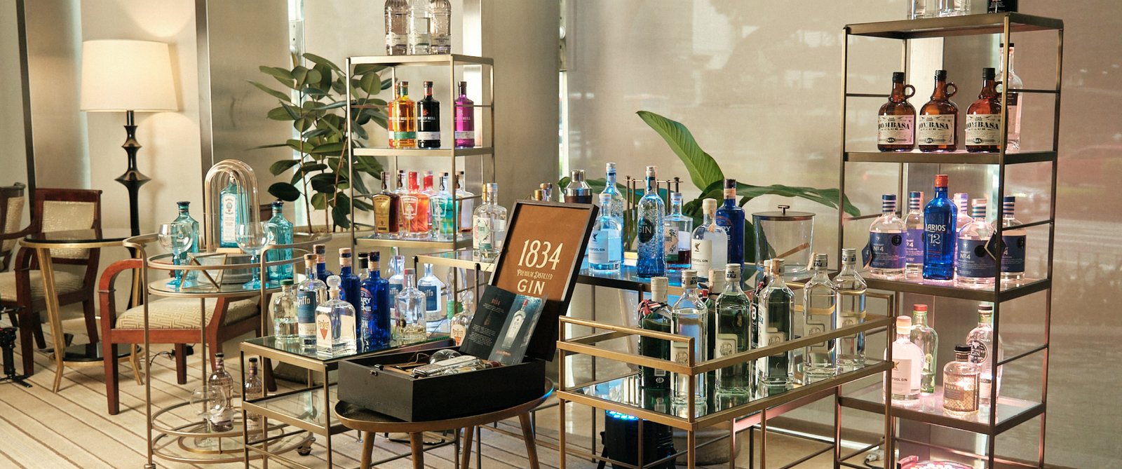 Discovery Primea — vibe