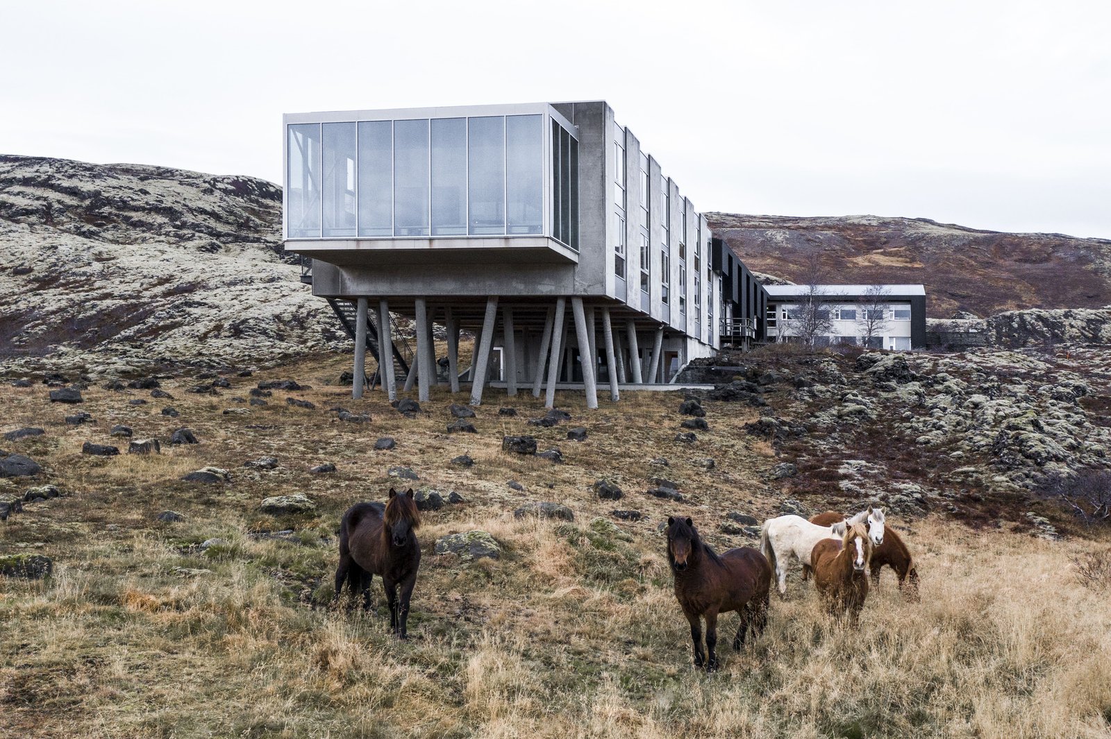 ION Adventure Hotel, Nesjavellir, a Member of Design Hotels, how it began