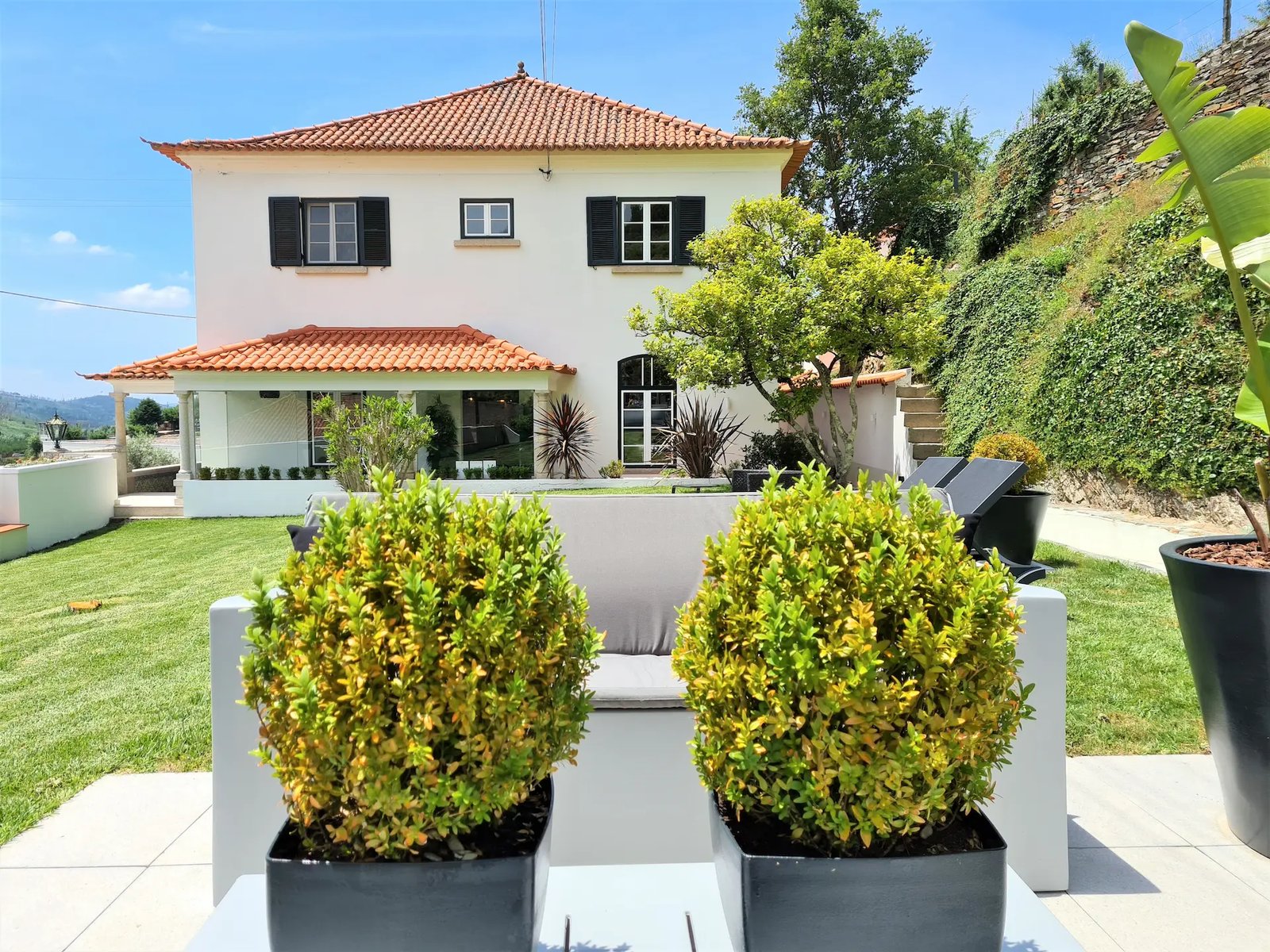 Quinta da Palmeira, how it began