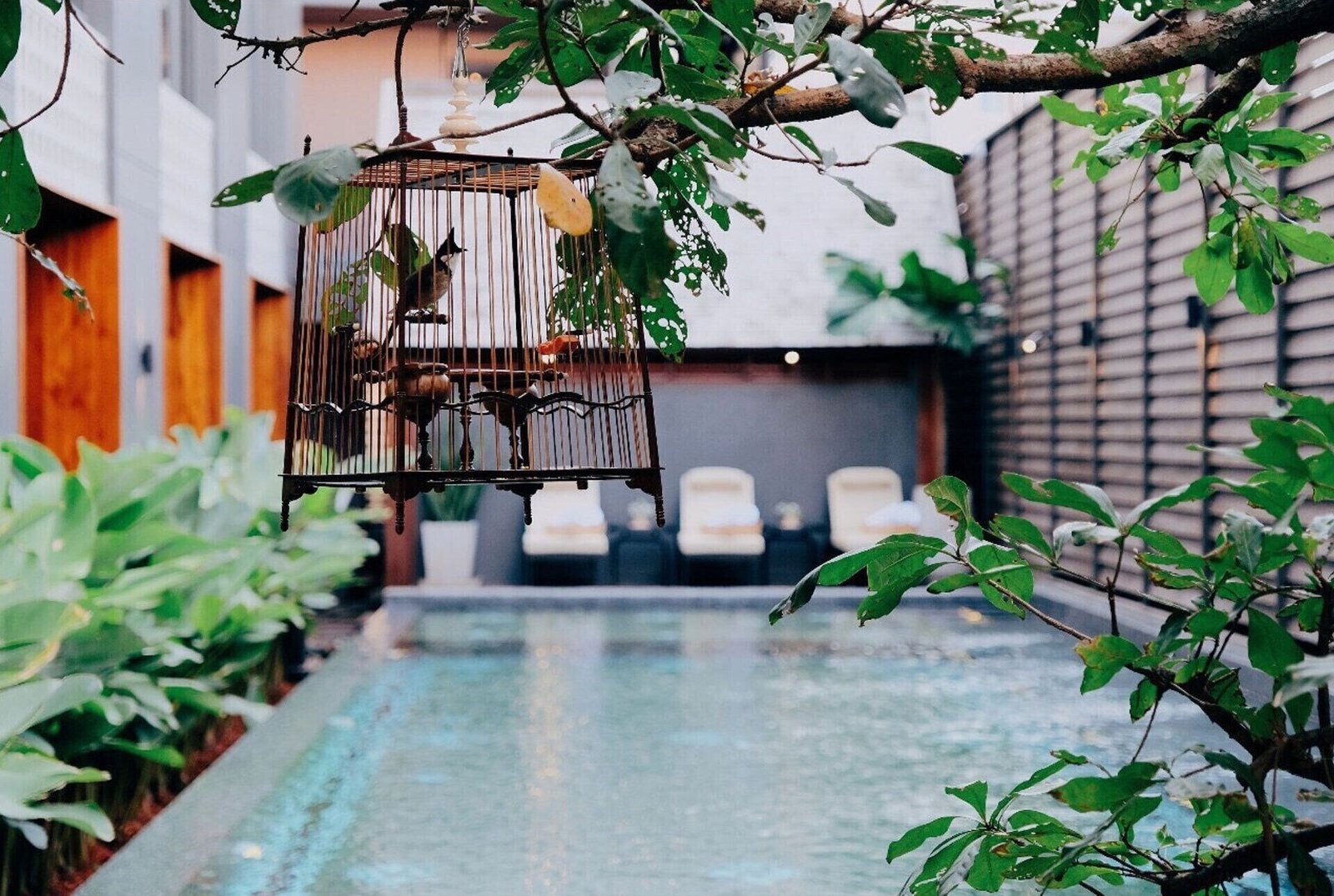 Loy Chiang Mai Hotel — wellness