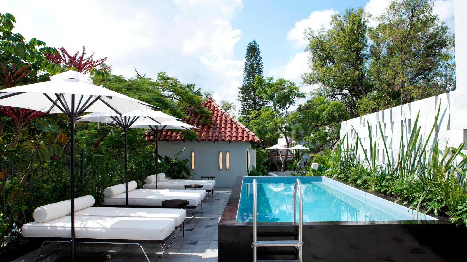 Casa Habita, the pool