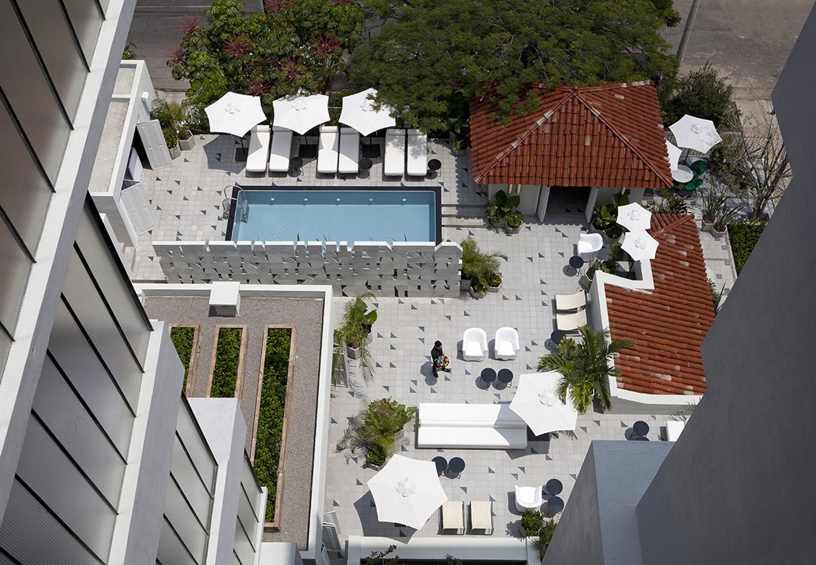 Casa Habita, the pool