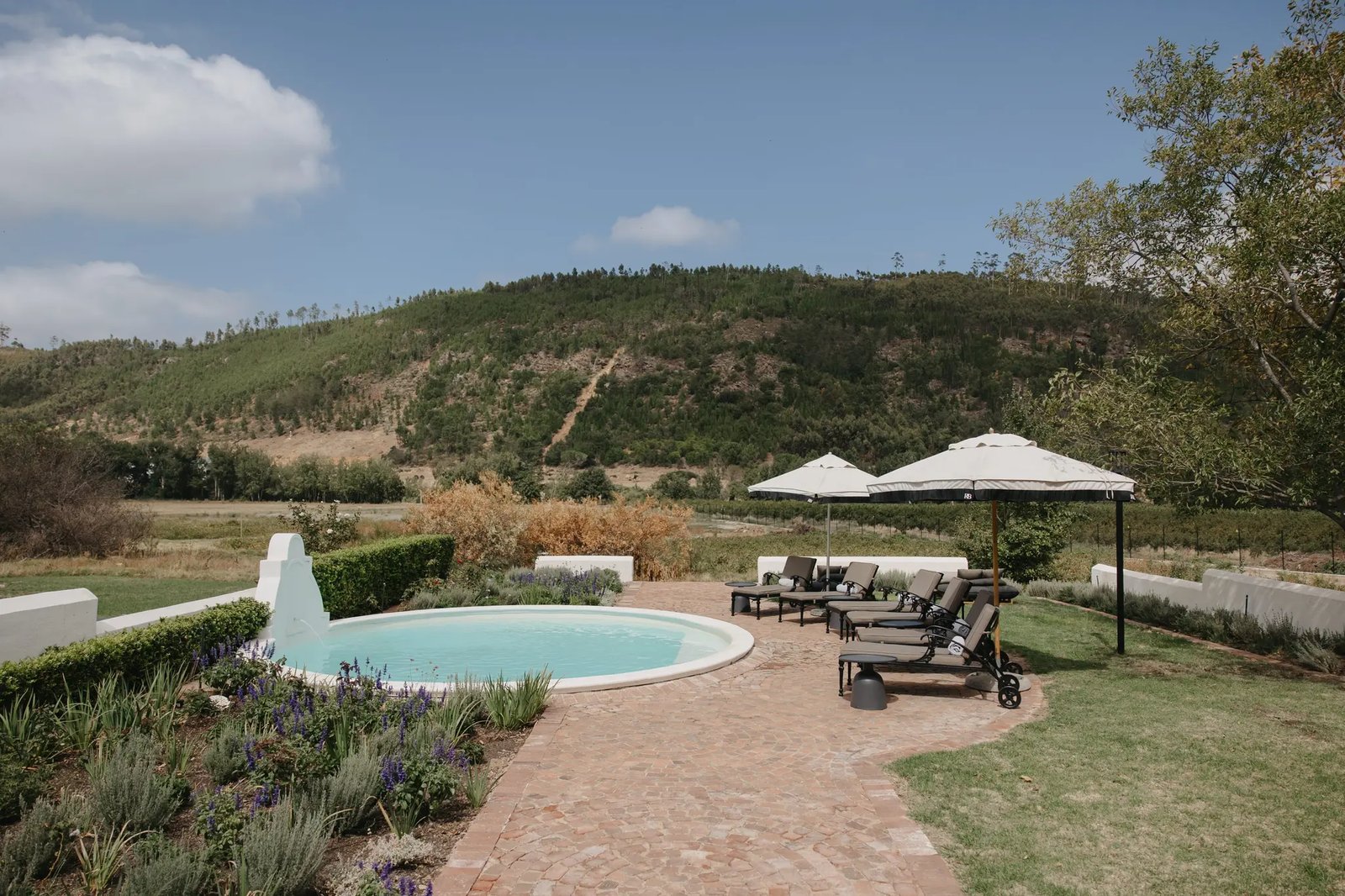 Rickety Bridge Estate, the pool