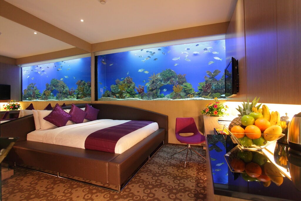 Hotel H2O — vibe