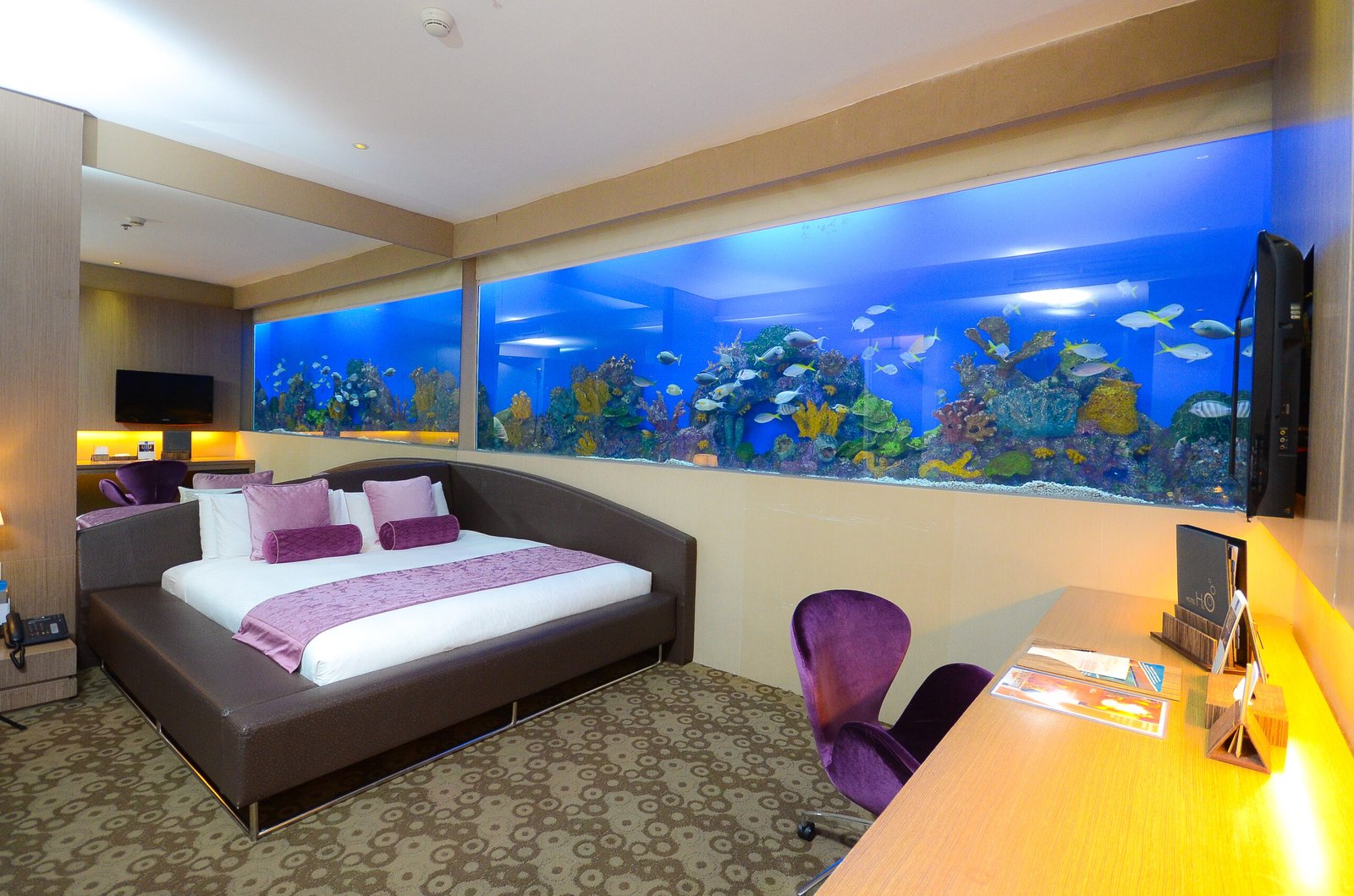 Hotel H2O — vibe