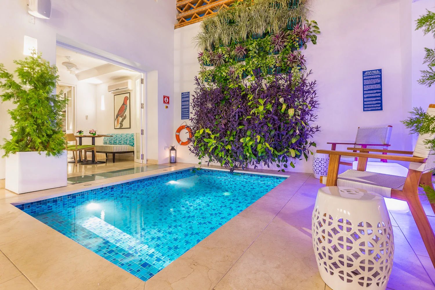 Casa La Cartujita, the pool