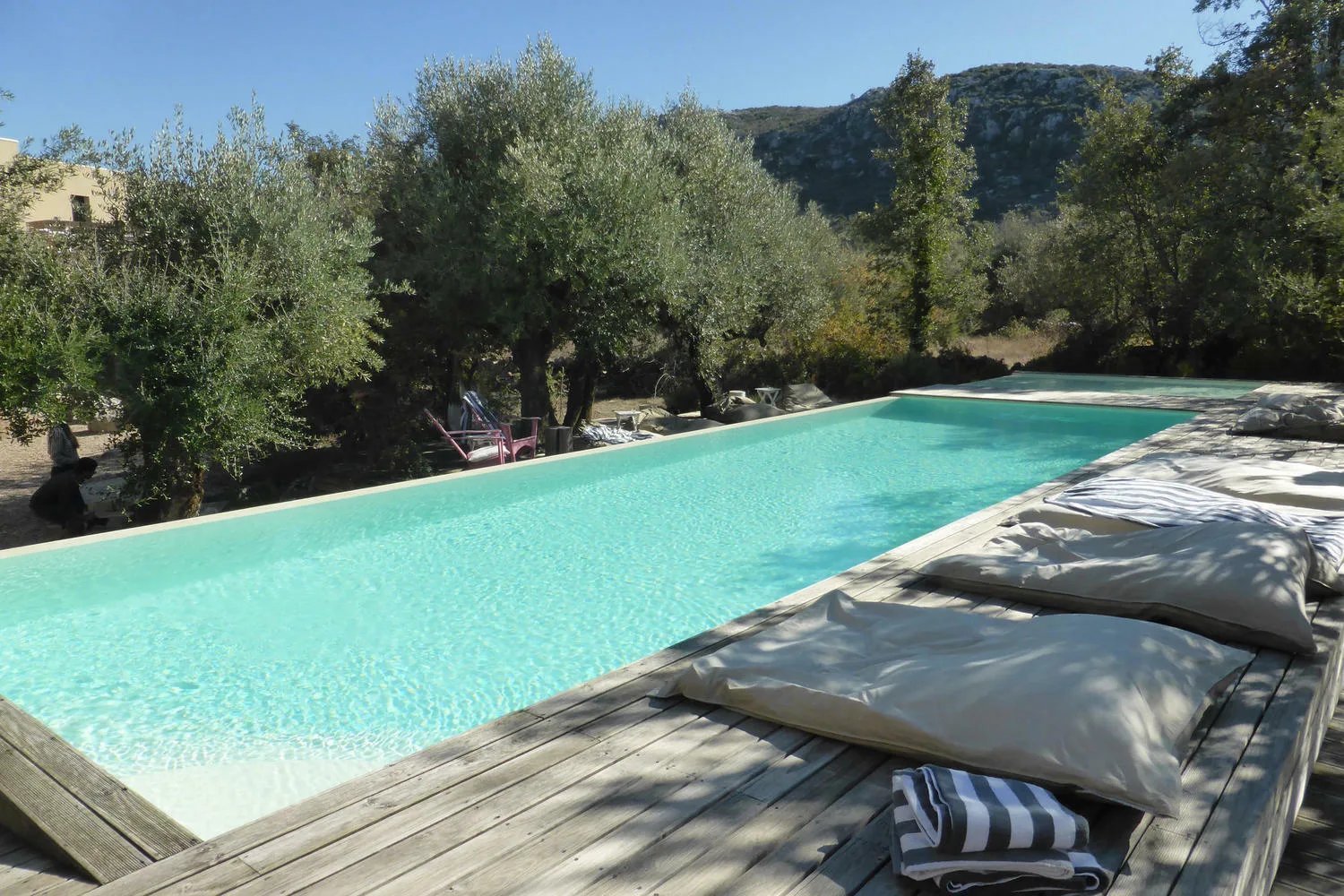 Cooking and Nature | Emotional Hotel, the pool
