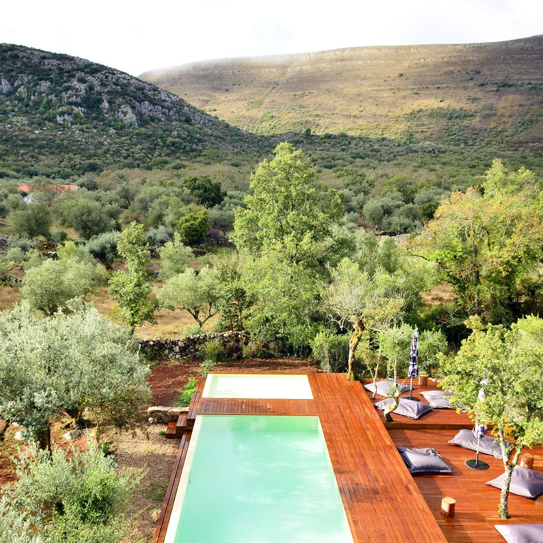 Cooking and Nature | Emotional Hotel, the pool