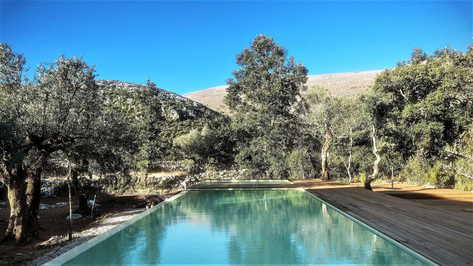 Cooking and Nature | Emotional Hotel