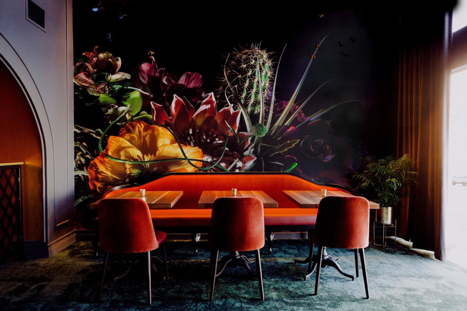 Hotel Deco Omaha, Tapestry Collection by Hilton