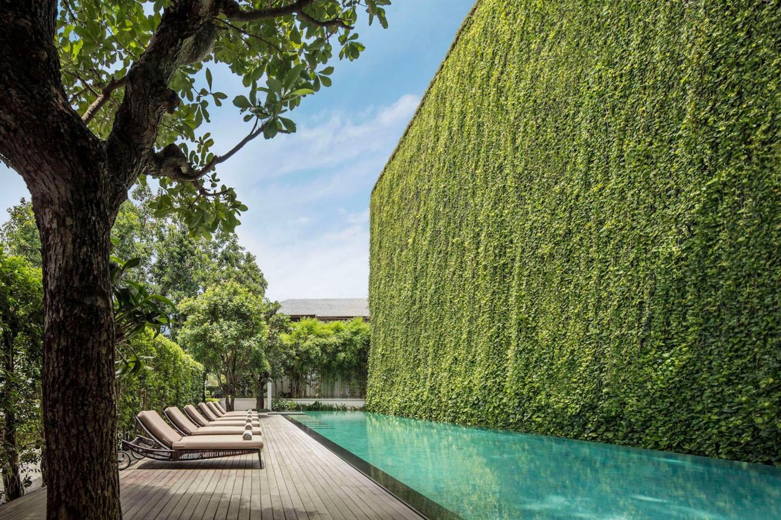 137 Pillars House Chiang Mai, the pool