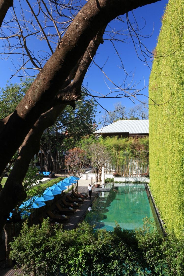 137 Pillars House Chiang Mai, the pool
