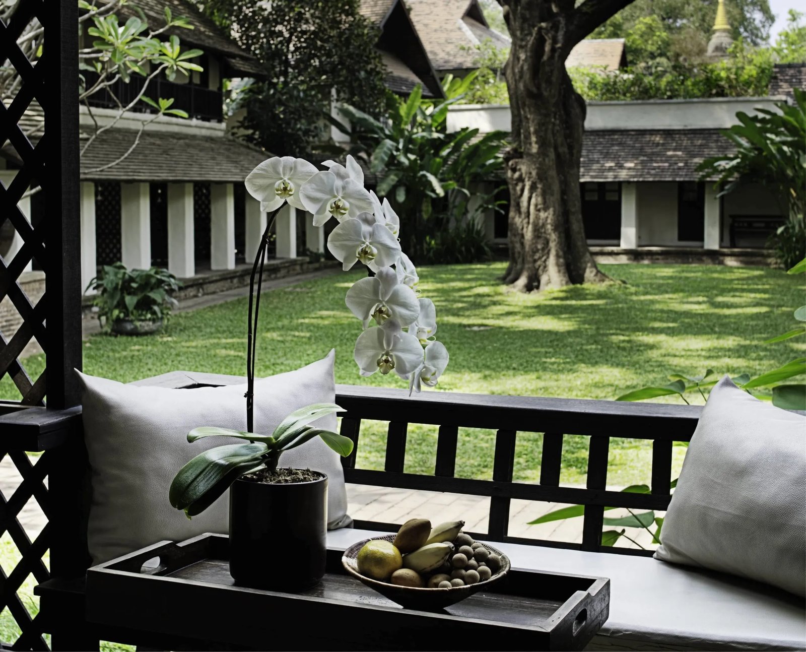 Tamarind Village — backstory