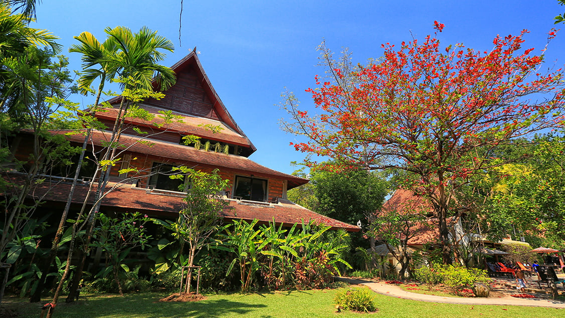 Yaang Come Village Chiang Mai — backstory