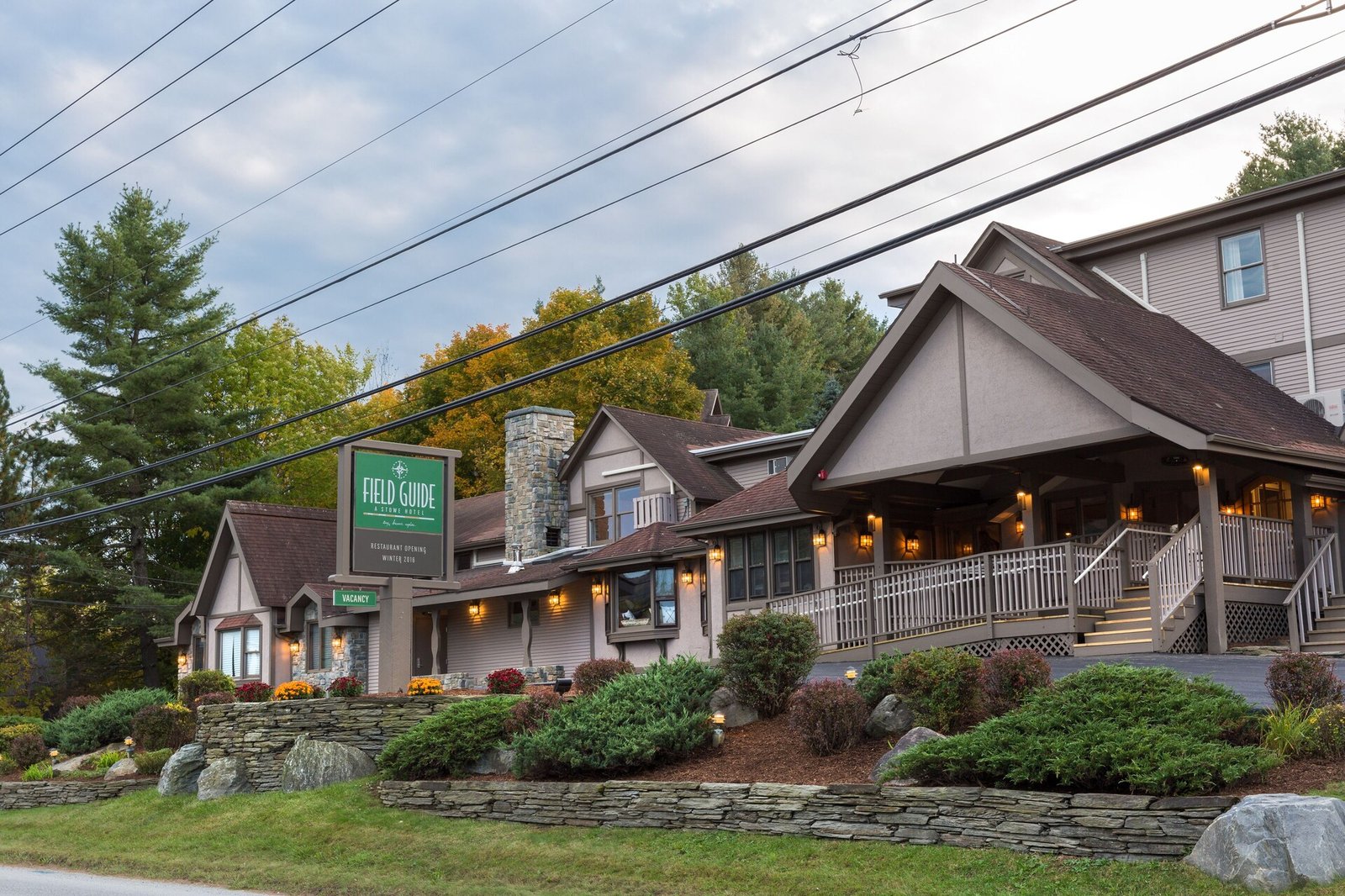 Field Guide Lodge, how it began