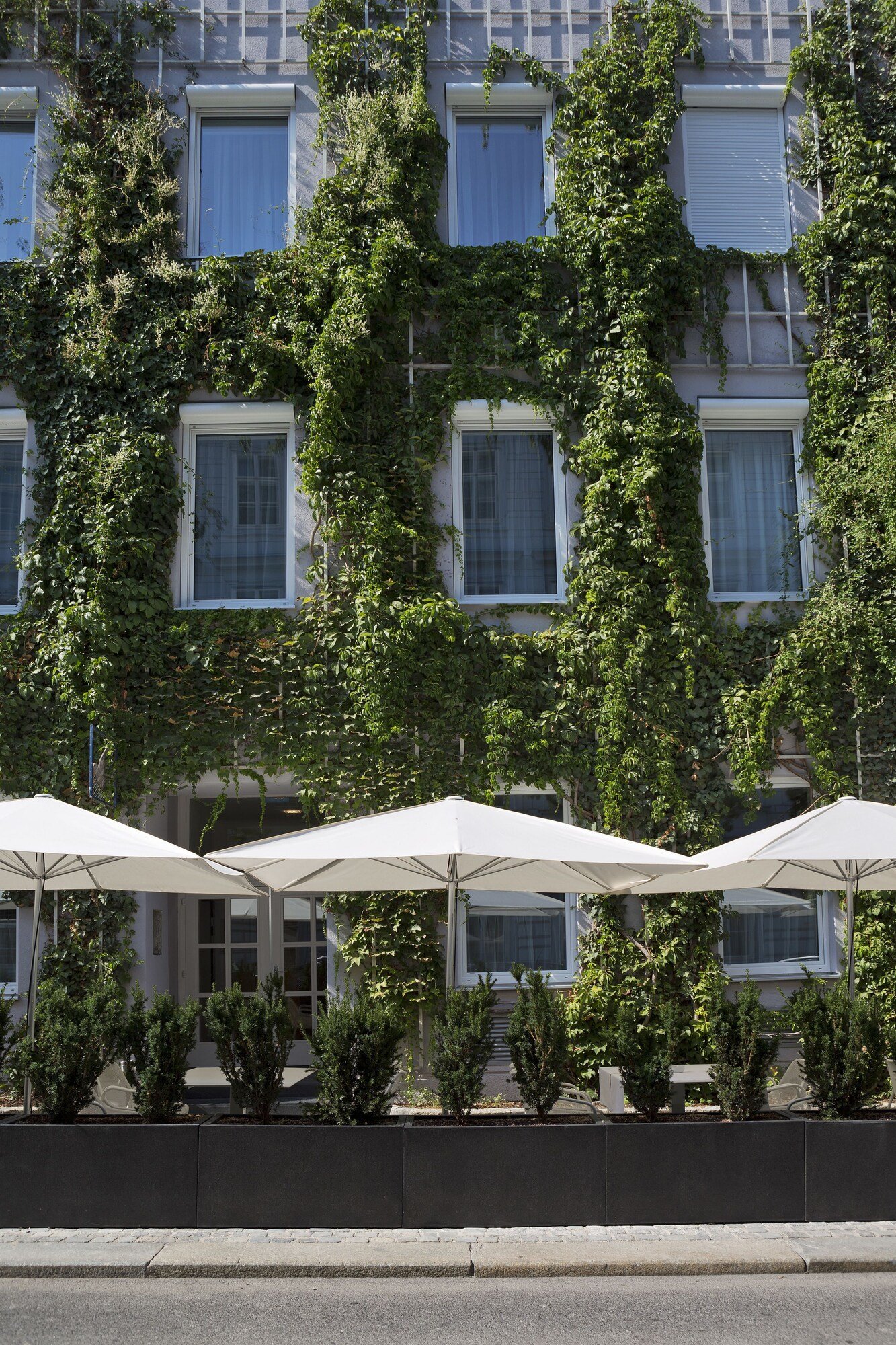 The Harmonie Vienna, BW Premier Collection by Best Western, how it began