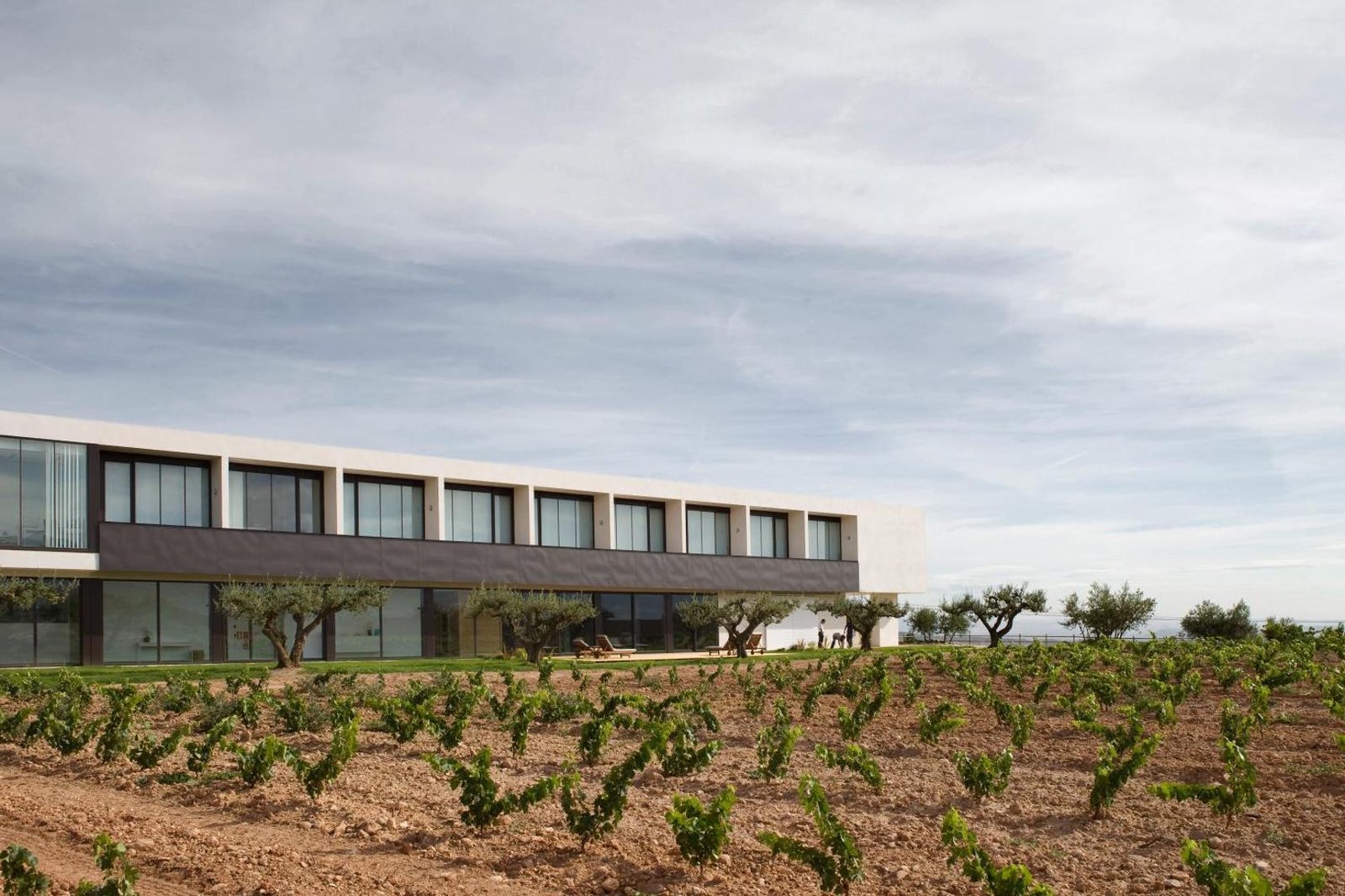 Finca de los Arandinos Bodega | Hotel