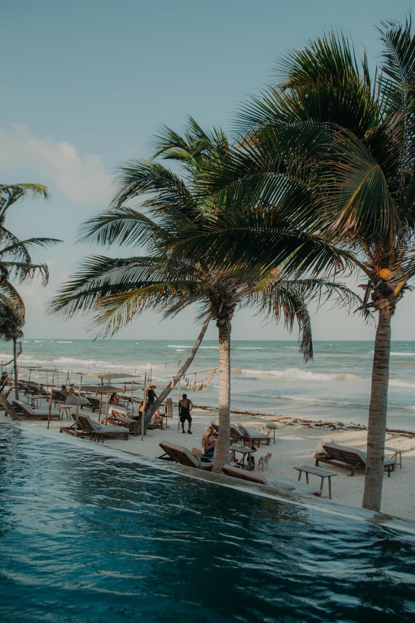 Delek Tulum, the pool