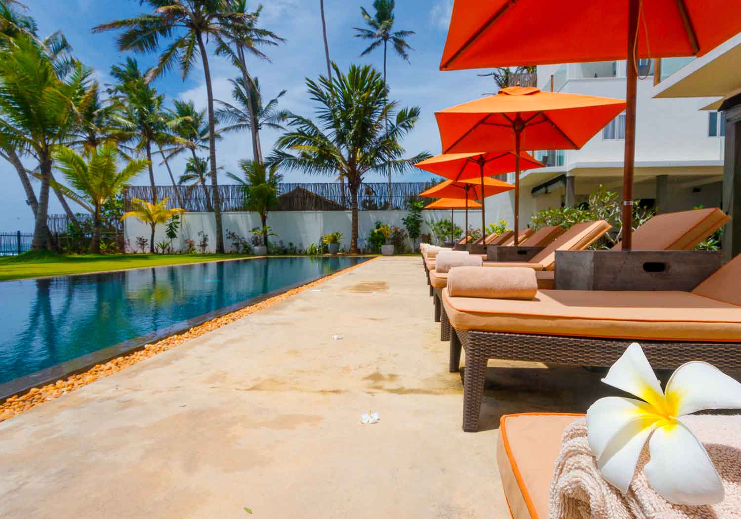 KK Beach Galle, the pool
