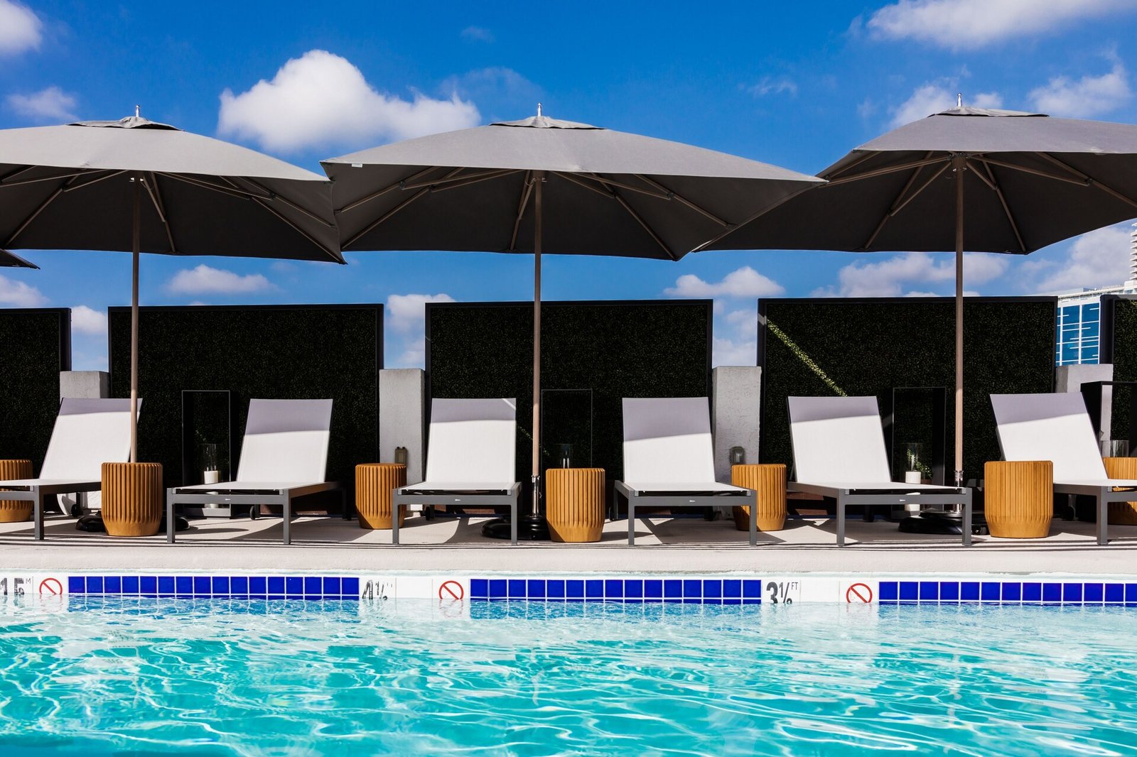 Montrose at Beverly Hills, the pool