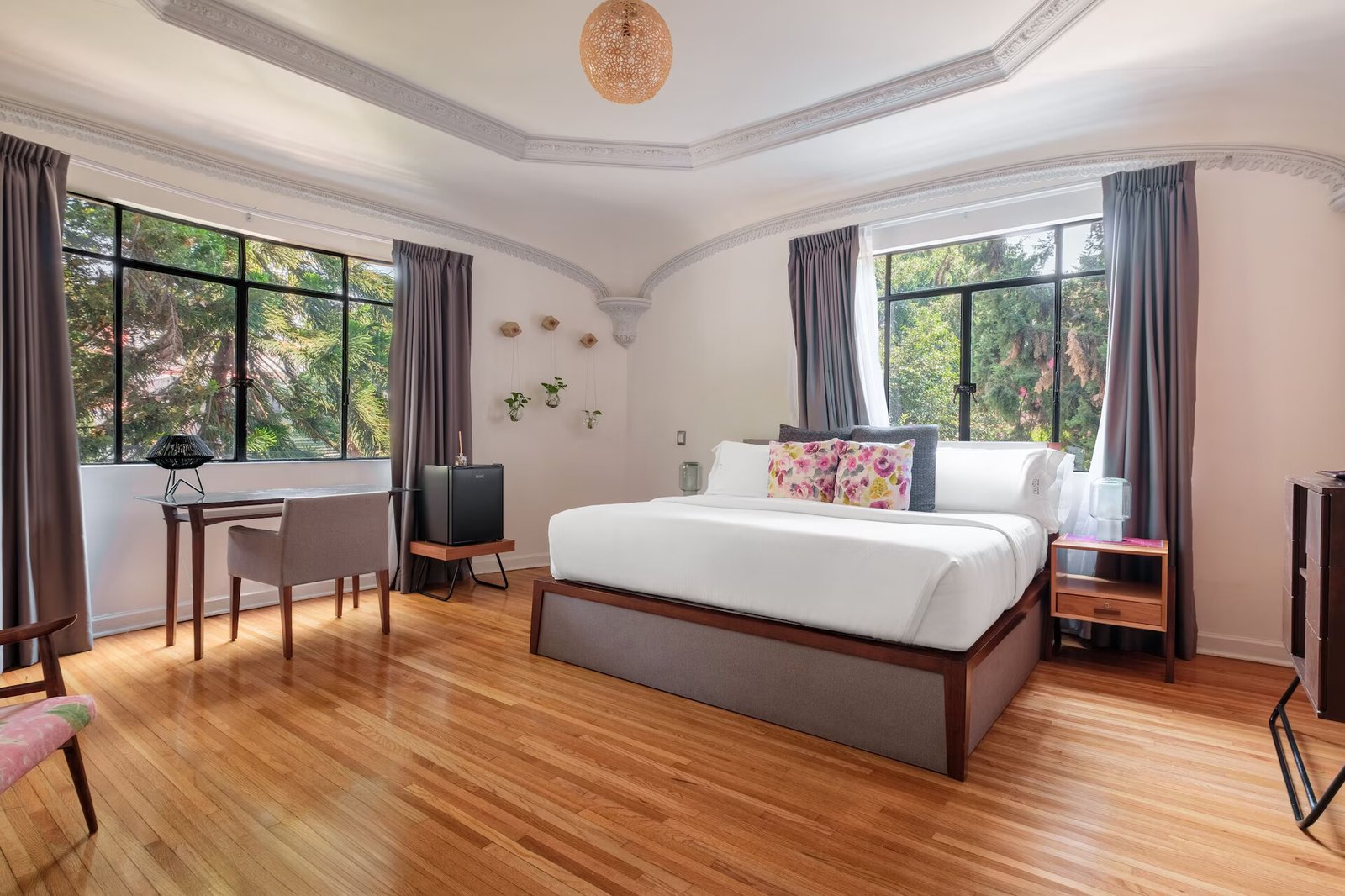 Hotel Pug Seal Polanco Allan Poe — vibe