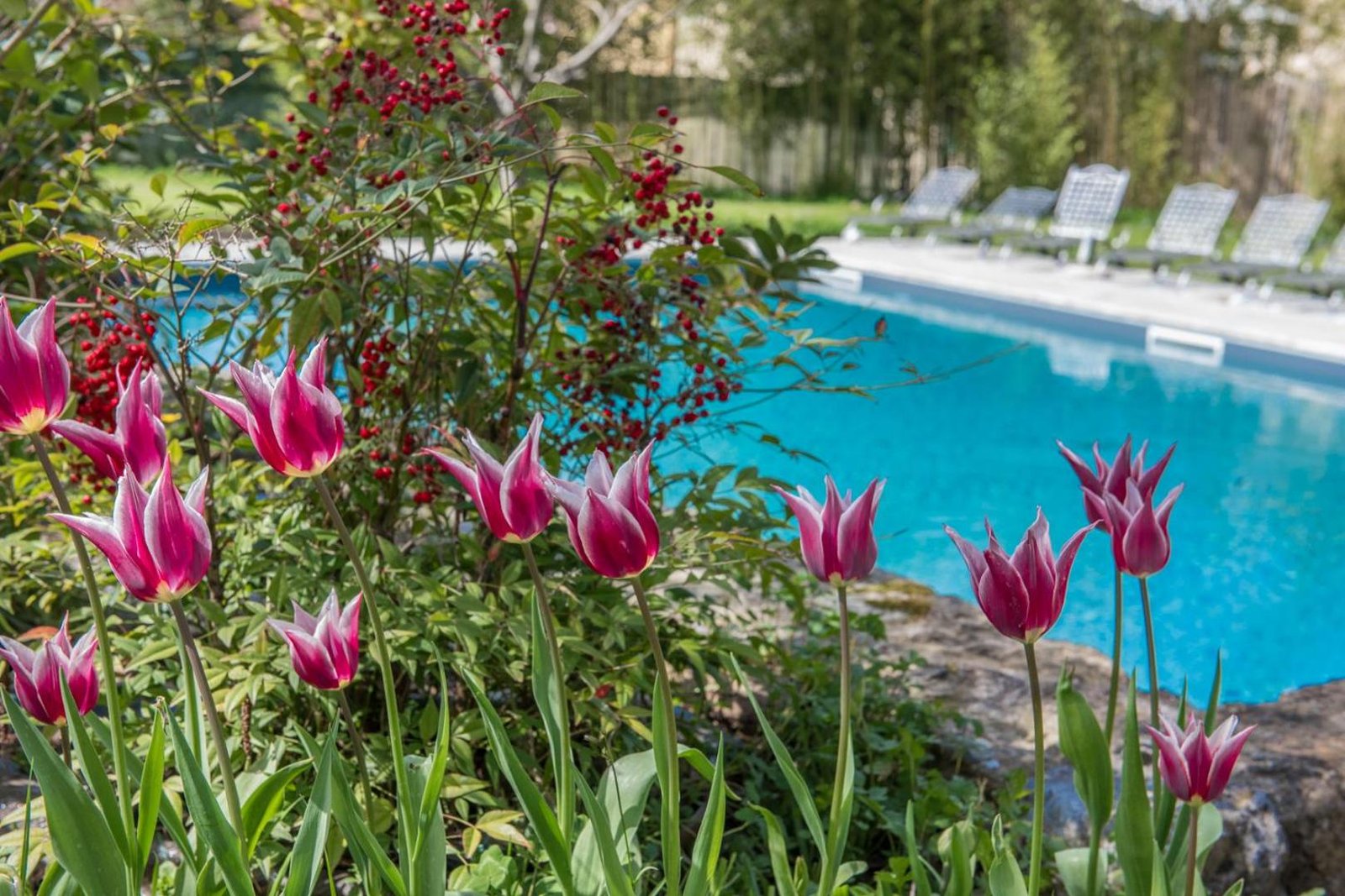 Relais Corte Rodeschi, the pool