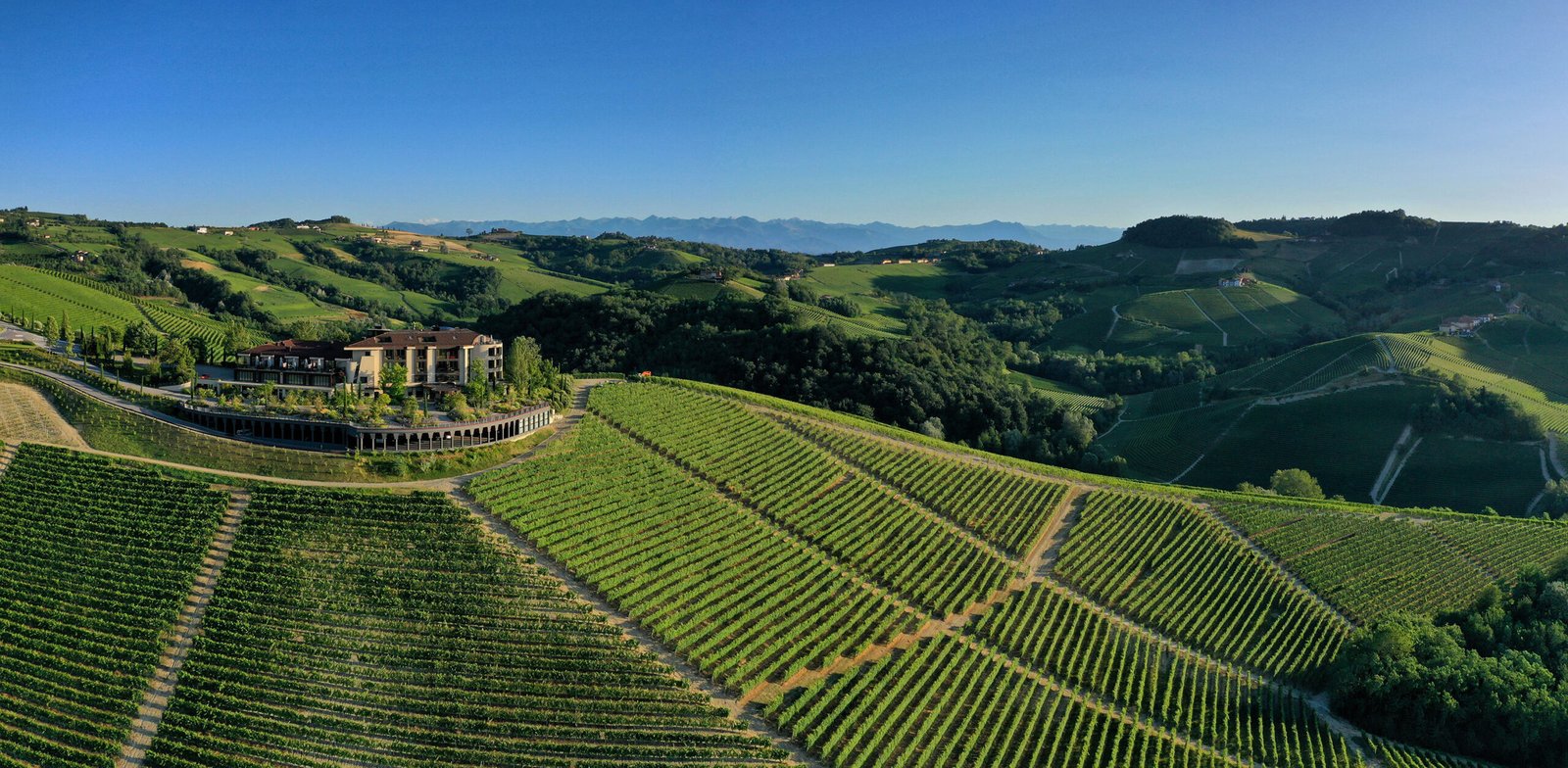 Il Boscareto Resort & Spa, how it began