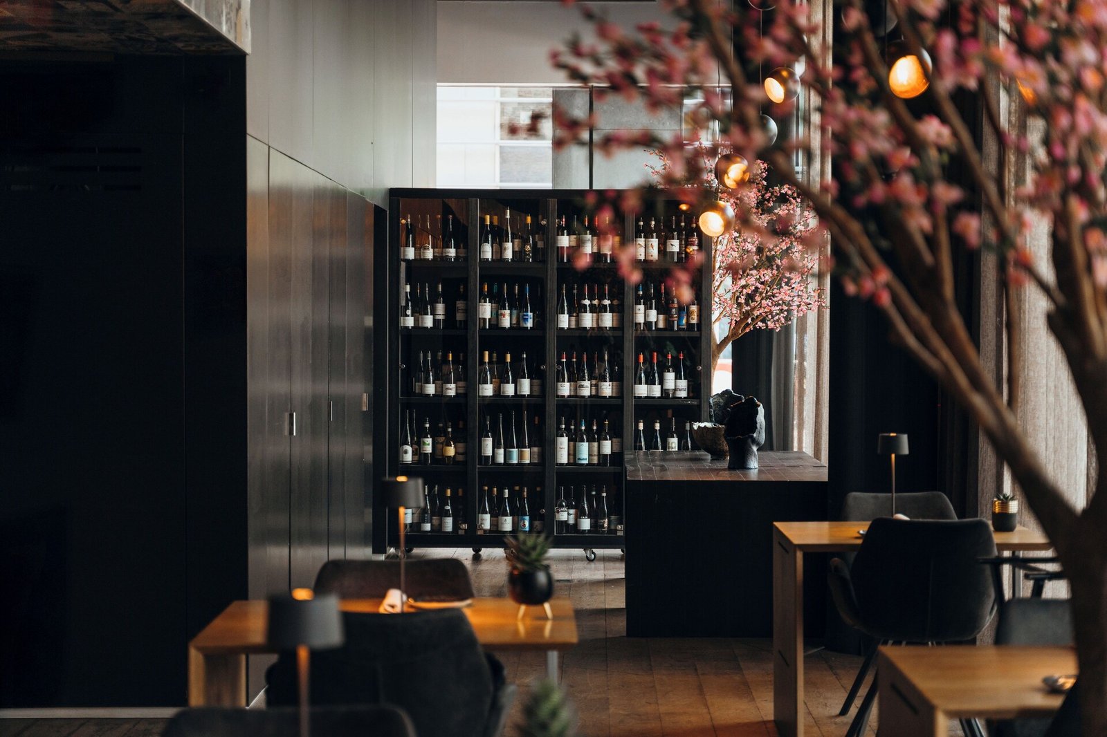 Carbon Hotel