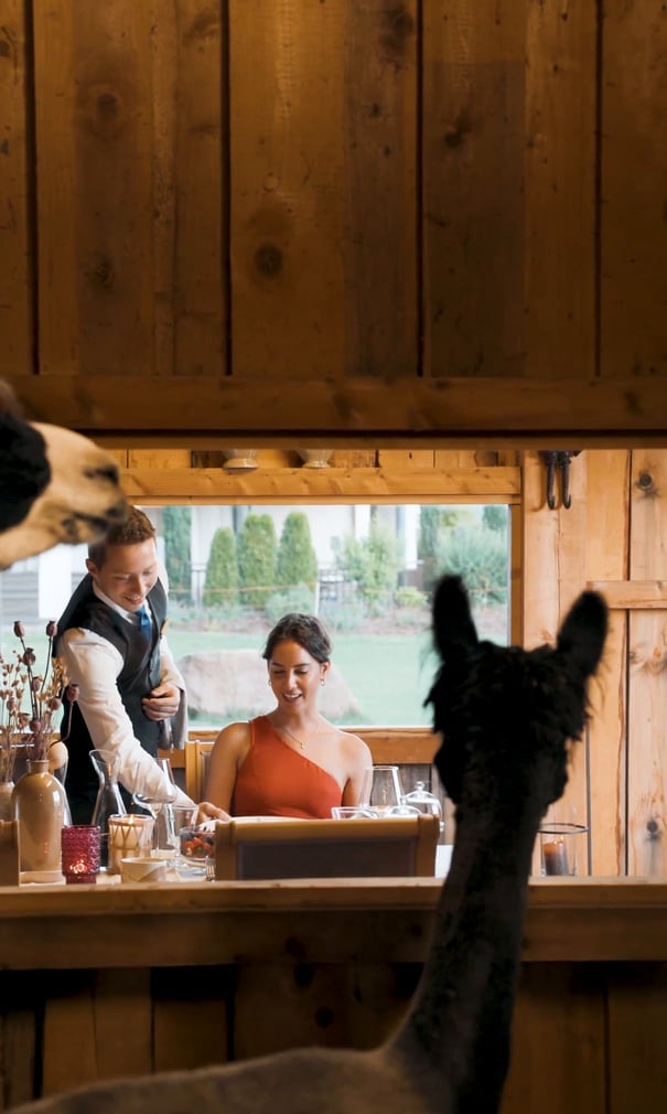 Hotel Chalet Mirabell