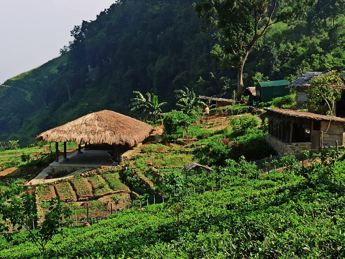 Madulkelle Tea and Eco Lodge, the spa