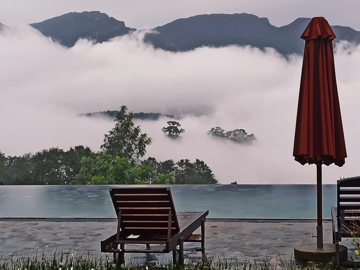 Madulkelle Tea and Eco Lodge, the pool