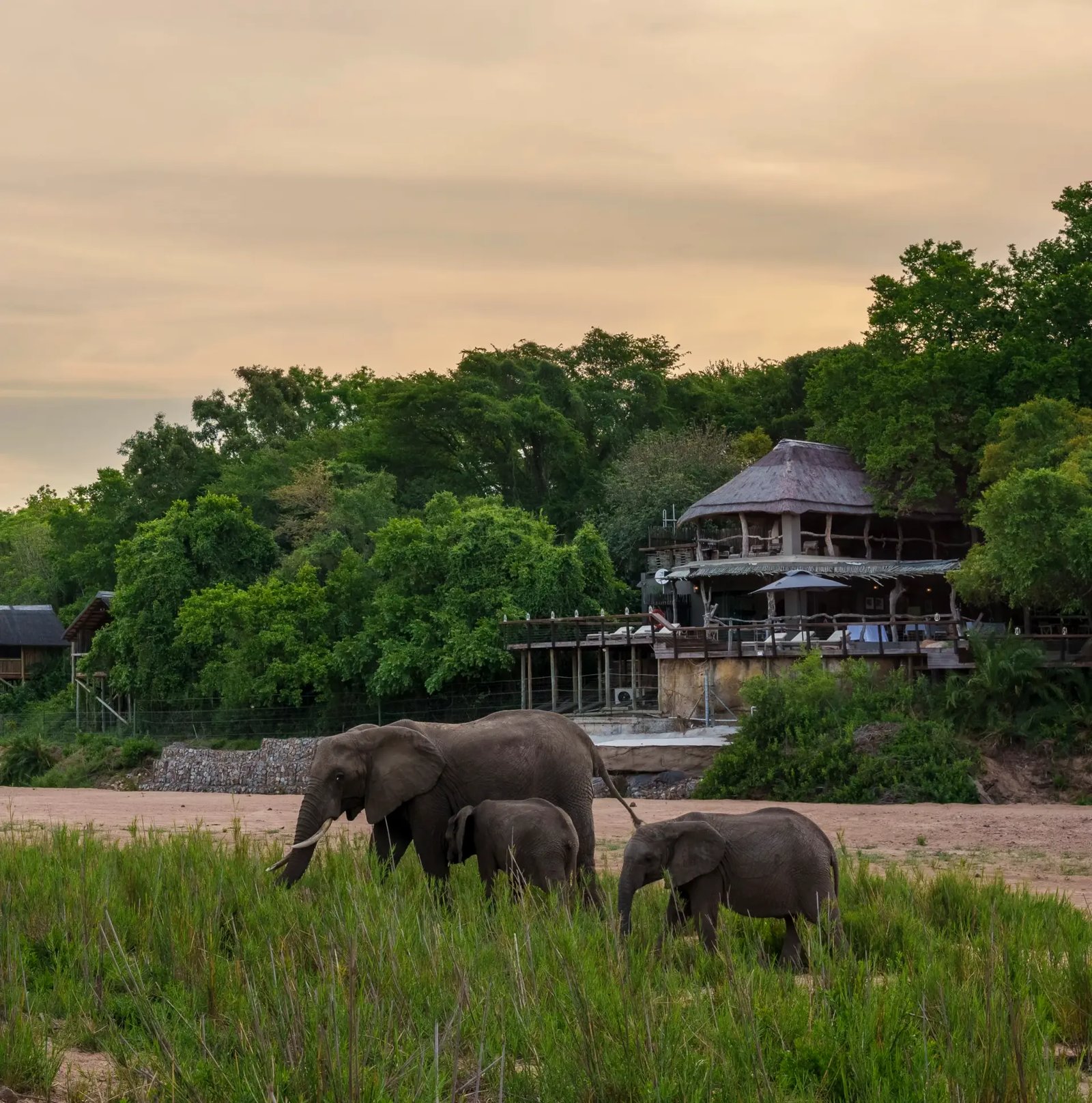 Jock Safari Lodge, Kruger National Park, how it began