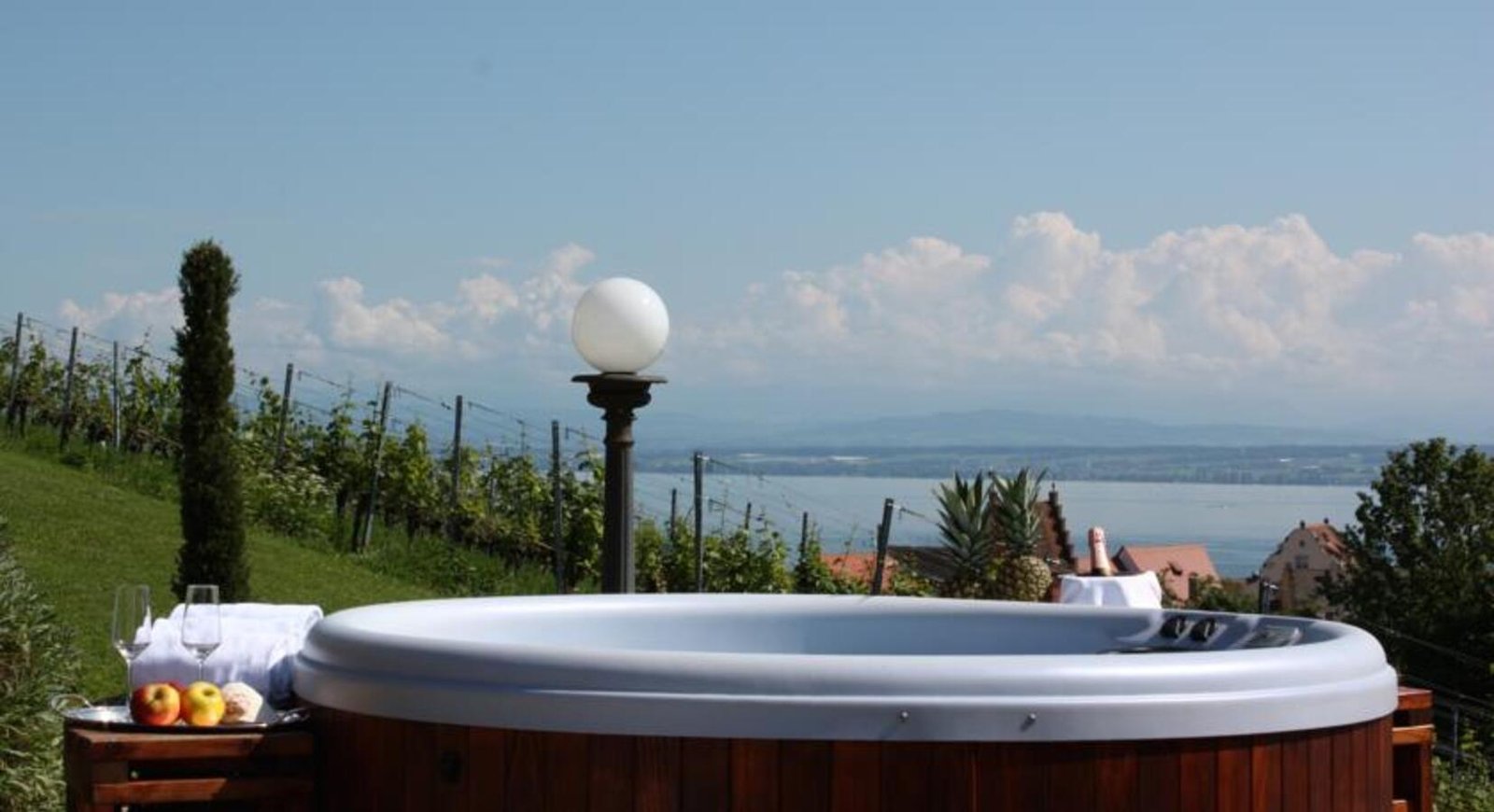 Hotel Villa Seeschau am Bodensee, the spa