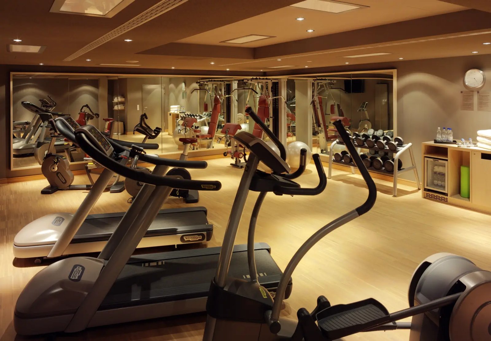 Hyperion Hotel Dresden am Schloss, the spa and gym