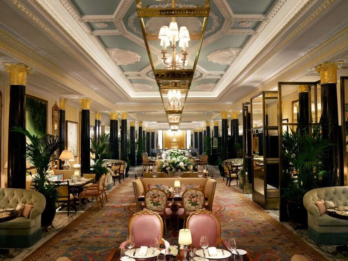 The Dorchester — vibe