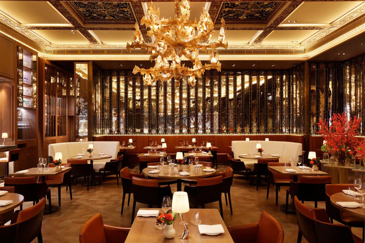 The Dorchester — vibe