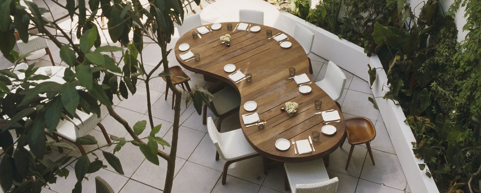 Condesa DF — eat & drink