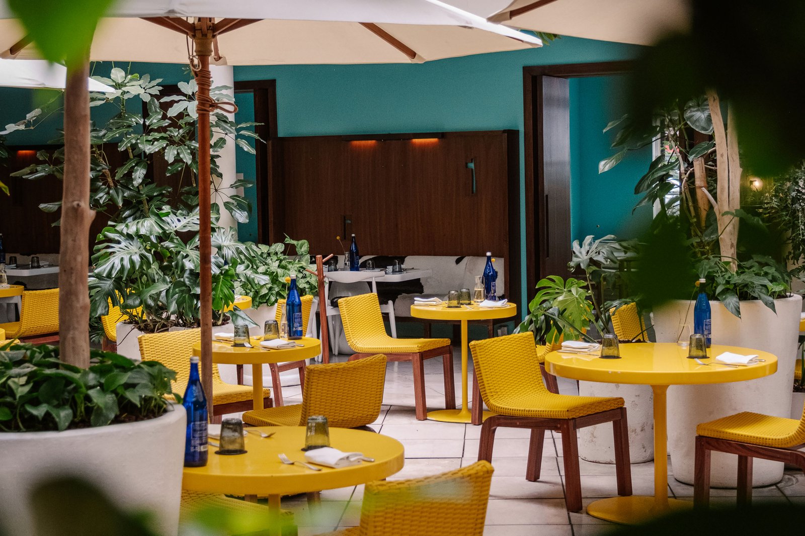 Condesa DF, el patio