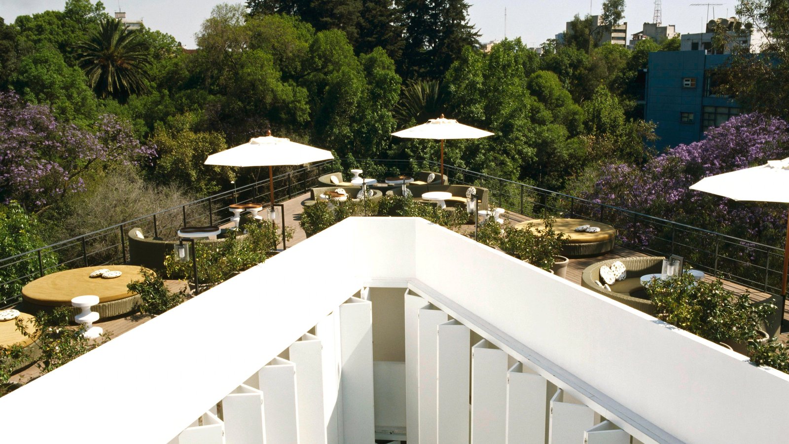 Condesa DF