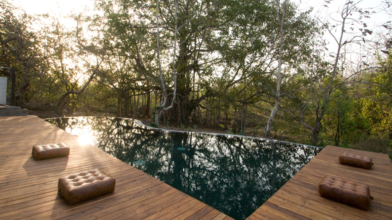 Jamtara Wilderness Camp, the pool