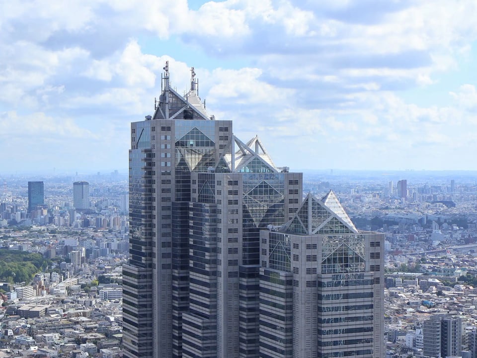 Park Hyatt Tokyo, how it began