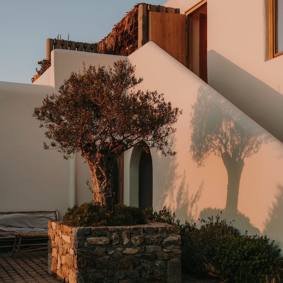 The Wild Hotel by Interni, how it began